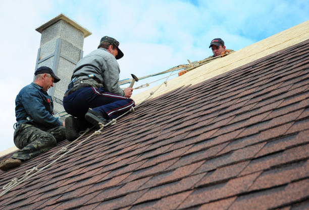 Professional Roofing Contractor in Huntland, TN